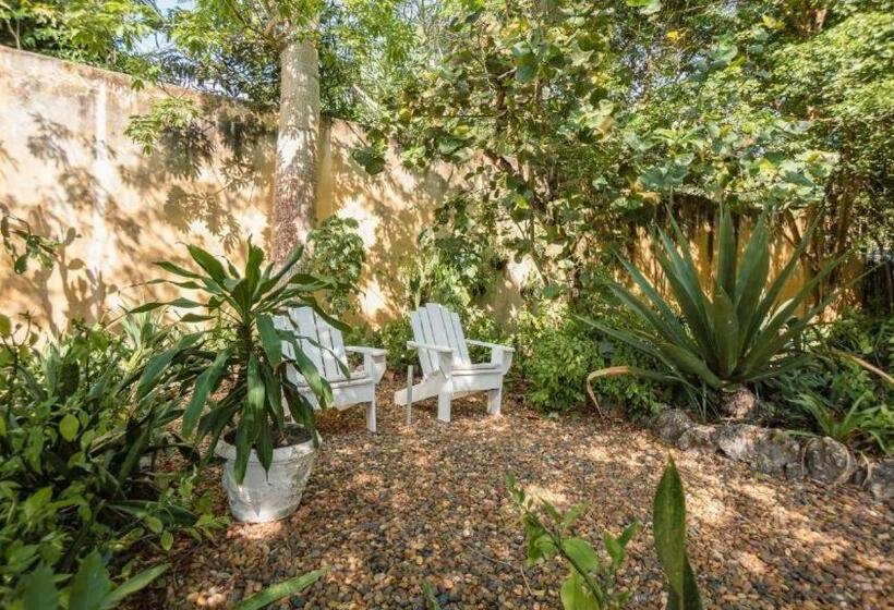 اتاق لوکس, Playa Scondida Baru