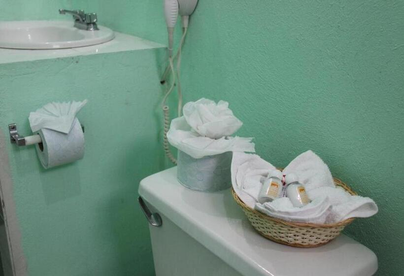 غرفة قياسية, Spa Villa San Agustin