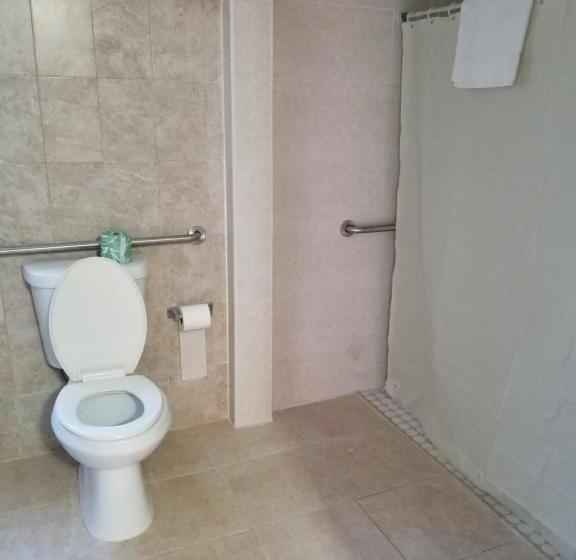 غرفة قياسية سرير كينج لذوى الإحتياجات الخاصة, Royal Budget Inn