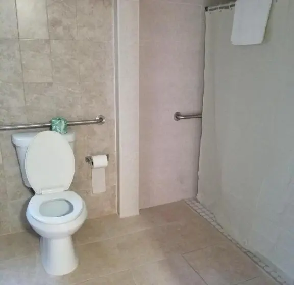 اتاق استاندارد با تخت بزرگ برای معلولان, Royal Budget Inn