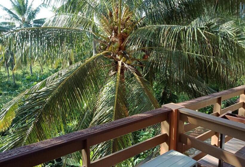 غرفة سوبيريور, N.d.