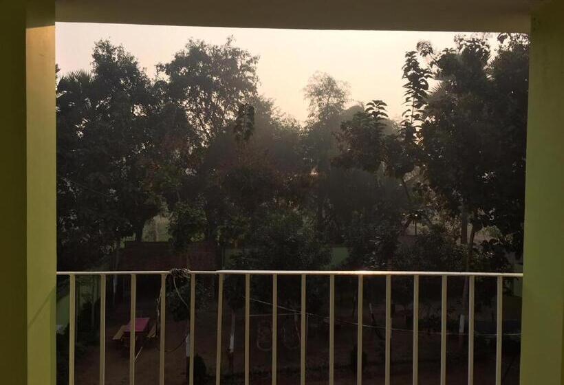 חדר סופריור, Sachi Home