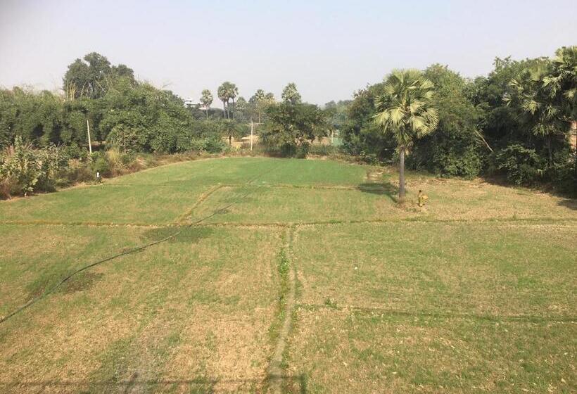 חדר סטנדרט, Sachi Home