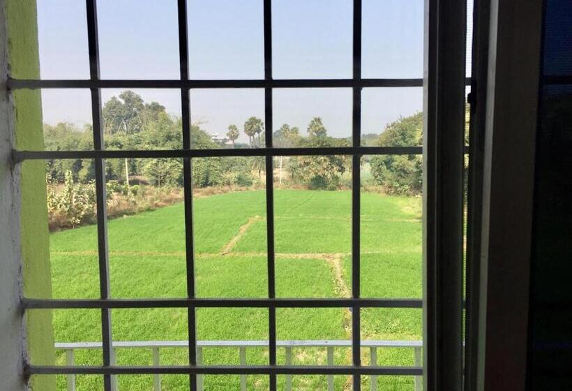 חדר סטנדרט, Sachi Home