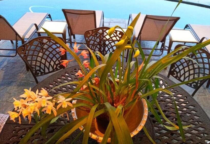 סטודיו סטנדרט, מיטה זוגית, Whale Rock Guest House