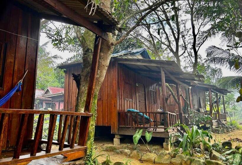 بنگله خانوادگی, Easy Tiger Garden Bungalows   By Beach House Cambodia