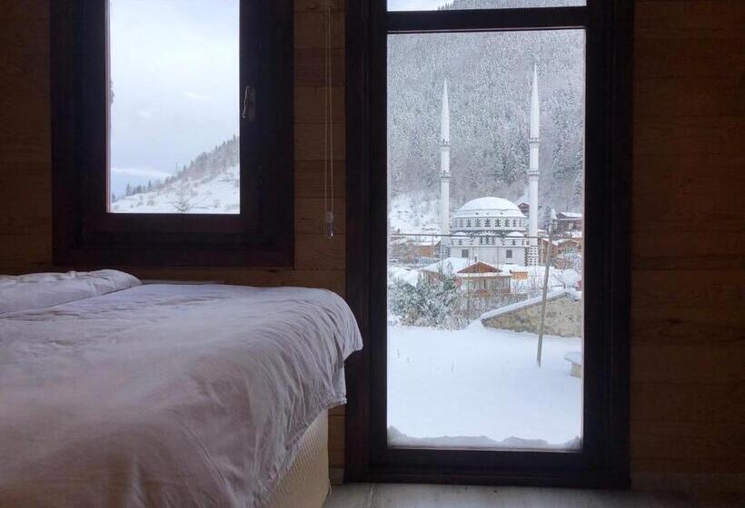 패밀리 룸 산 전망, Cerrahpaşa Sui̇te