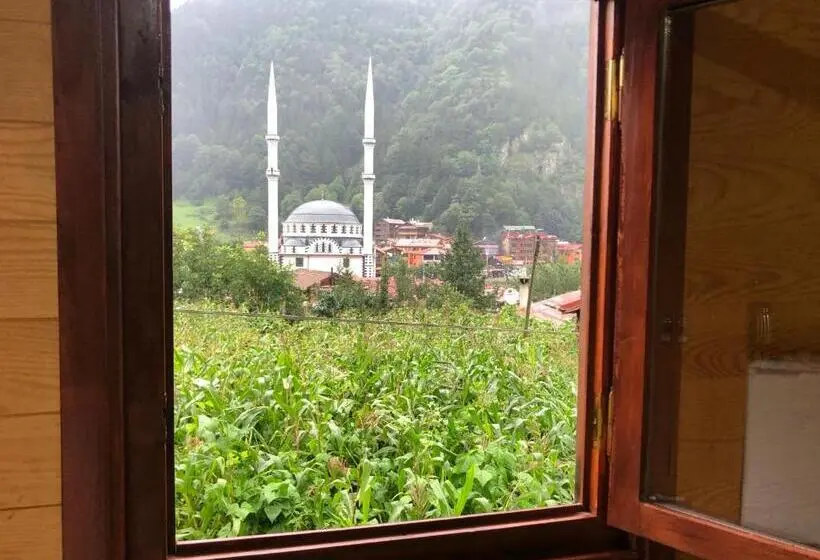 اتاق استاندارد سه نفره, Cerrahpasa Suite
