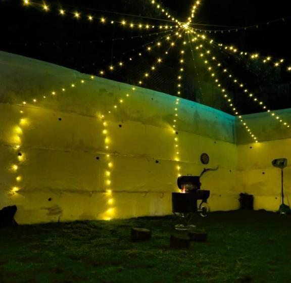 Bungalow Standard, Bob Haven01