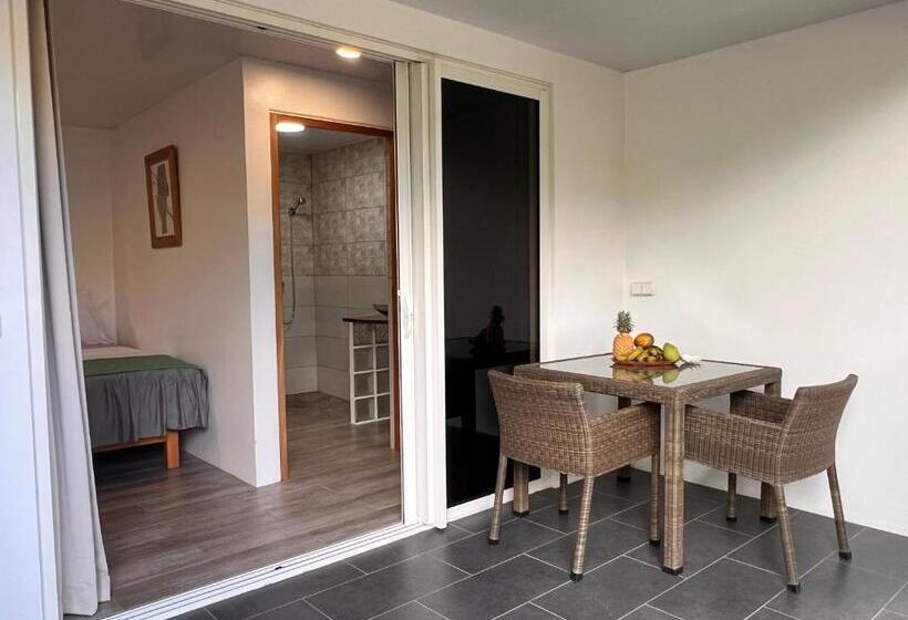 استودیو استاندارد با تخت کینگ, Pare Lodge Tahiti
