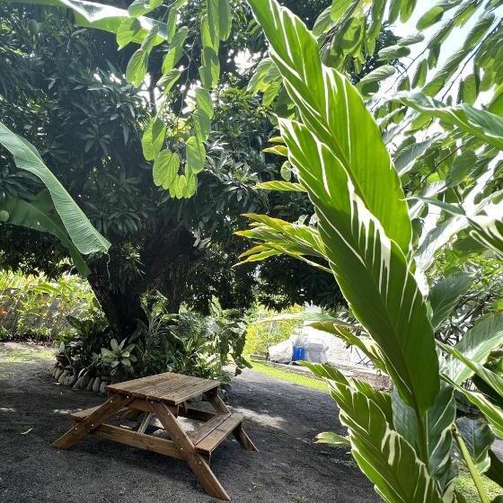 اتاق استاندارد چهار تخته, Pare Lodge Tahiti