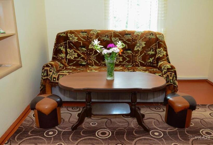 اتاق استاندارد یک نفره, Narek B&b