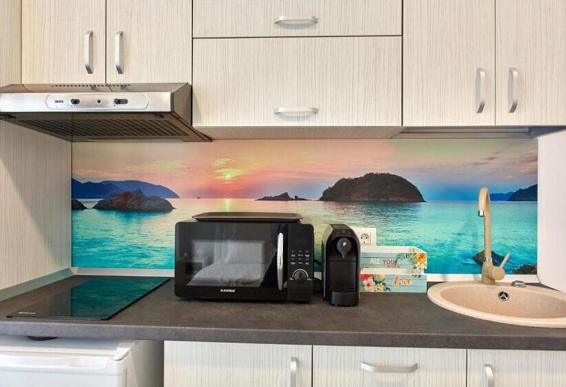 Студия Стандарт, Studio Bel Air Lotus