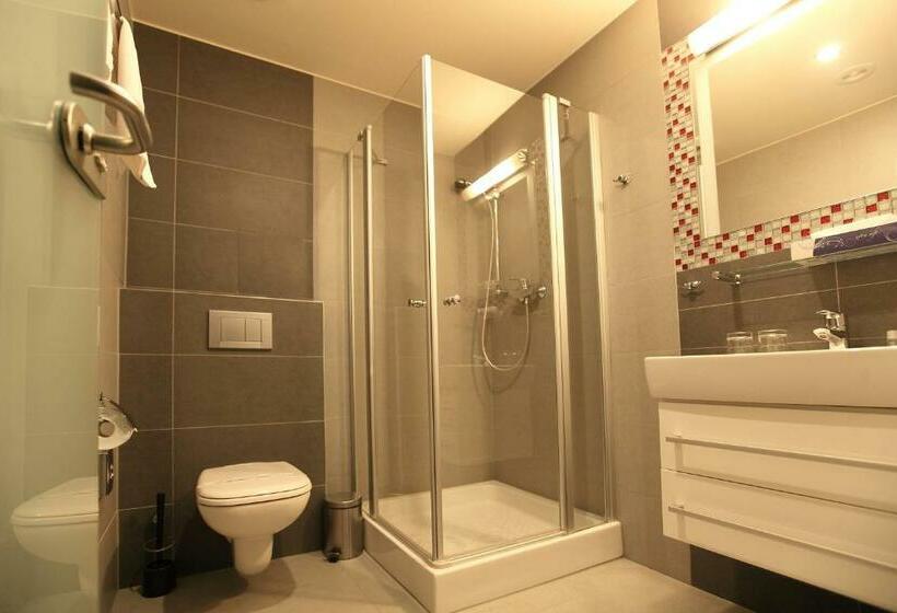 行政房间, Dolphin