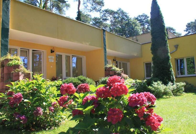 スタンダードルーム, Zielony & Ow Borowik & Pensjonat Manhattan   Centrum Rekreacji I Wypoczynku Gastrotur