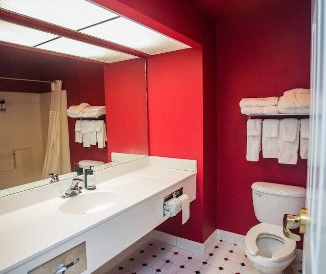 스탠다드 룸, Staybridge Suites Rehoboth Beach, An Ihg