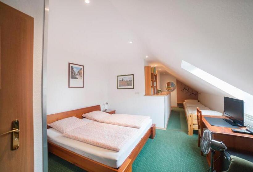 スタンダード４人部屋, Pelikan