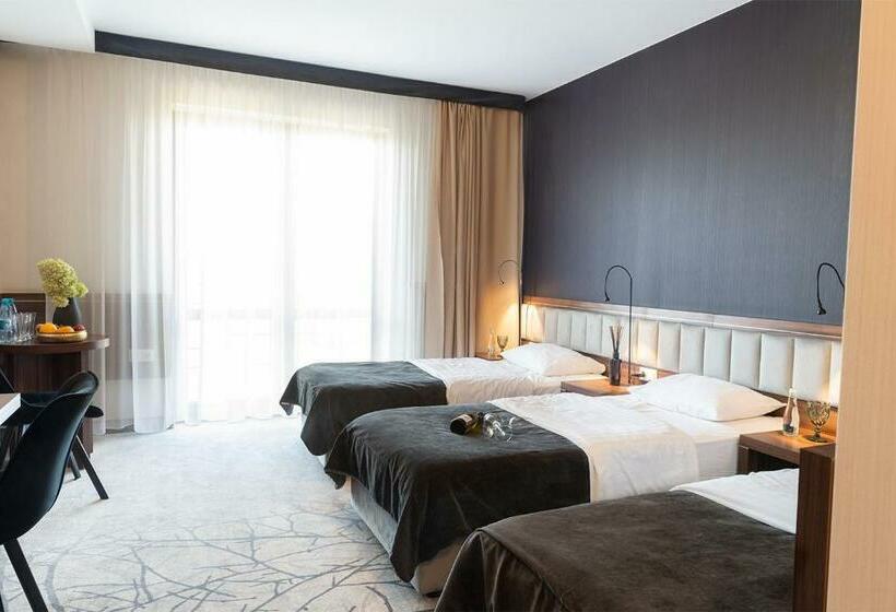 חדר סטנדרט לשלושה, Pogoria Residence