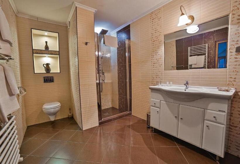 1 Schlafzimmer Apartment, &spa Jawor