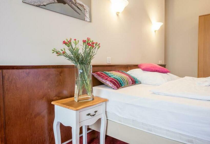 スタンダードシングルルーム, Villa Castello