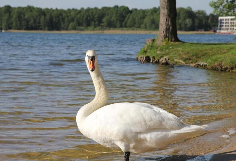 חדר סטנדרט לשלושה, Vitalia