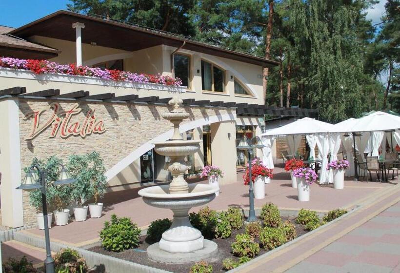 Четырехместный Номер Стандарт, Vitalia