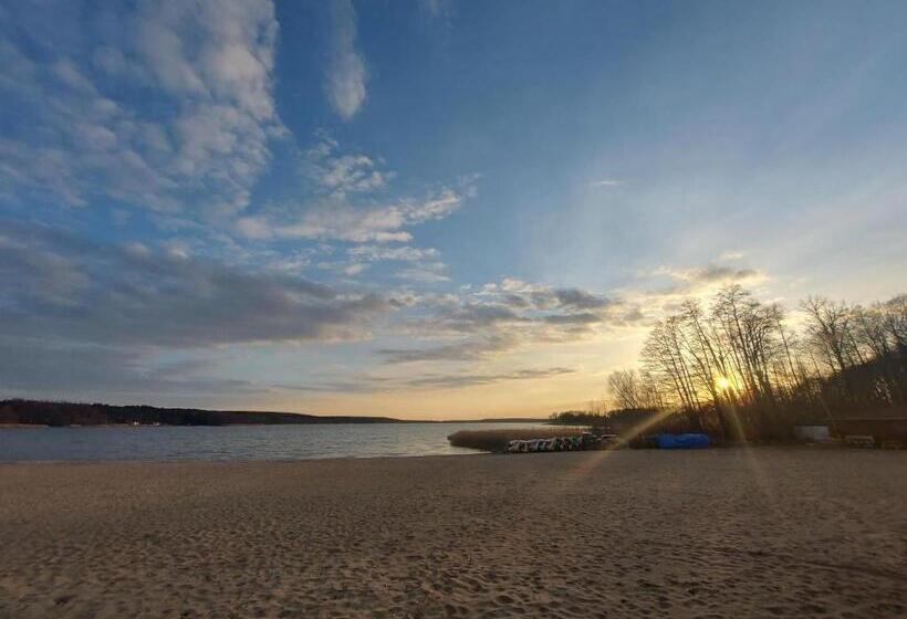 חדר סטנדרט, Vitalia