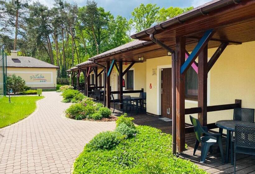 בקתה סטנדרטית, Vitalia