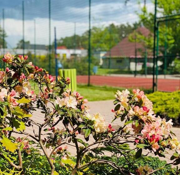 בקתה סטנדרטית, Vitalia