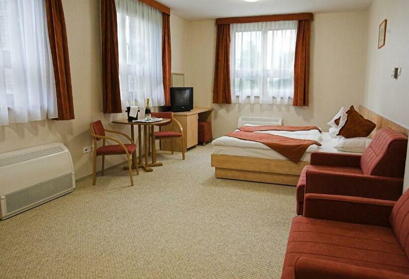 غرفة قياسية, Völgyikút Ház