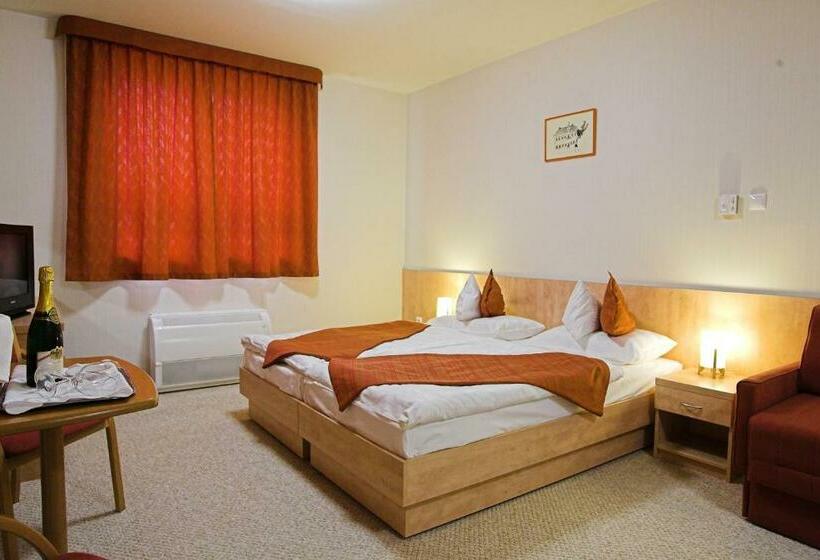 غرفة قياسية, Völgyikút Ház