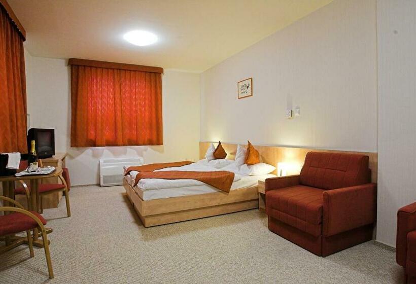 غرفة قياسية, Völgyikút Ház