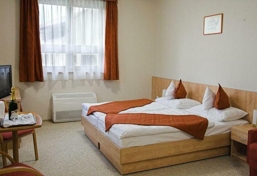 غرفة قياسية, Völgyikút Ház