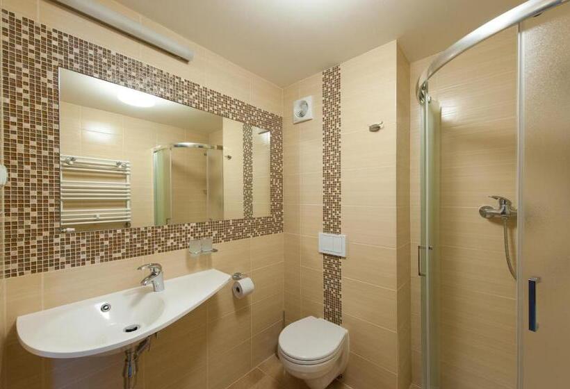 Номер Стандарт Трехместный, Zdrojowy Sanus