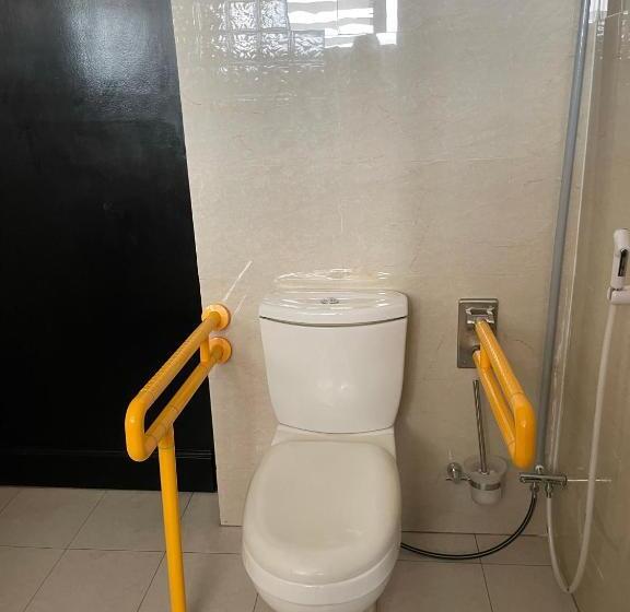 اتاق استاندارد برای معلولان, Governor S Residence