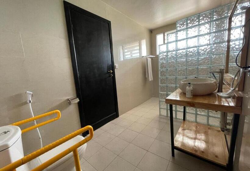 اتاق استاندارد برای معلولان, Governor S Residence