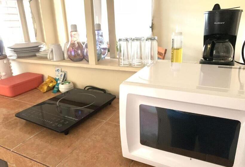 اتاق استاندارد با سرویس بهداشتی مشترک, Hostal Casa Antigua Santa Ana