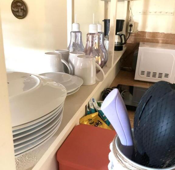 اتاق استاندارد با سرویس بهداشتی مشترک, Hostal Casa Antigua Santa Ana