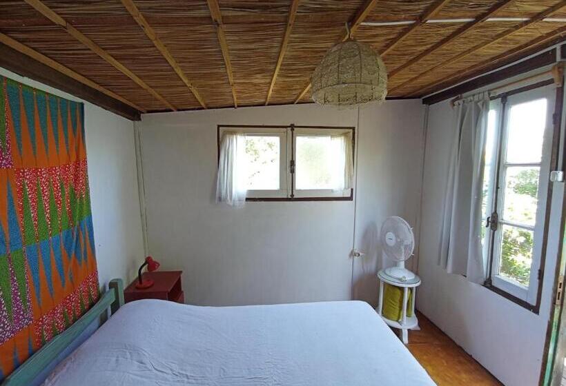 חדר סטנדרט חדר אמבטיה משותף, Nature Hostel