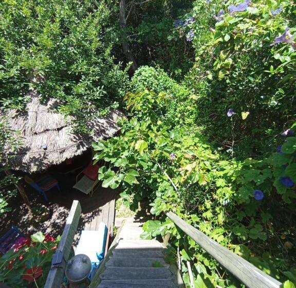 חדר סטנדרט חדר אמבטיה משותף, Nature Hostel