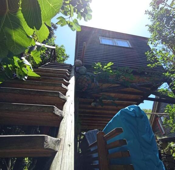스탠다드 룸 공동 욕실, Nature Hostel