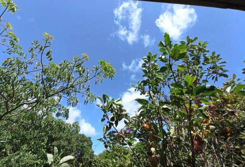 Standard-huone, Nature Hostel