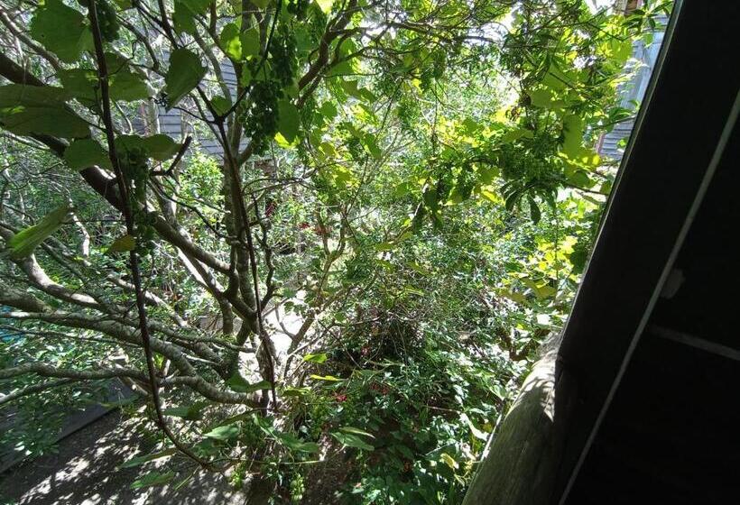 חדר סטנדרט, Nature Hostel