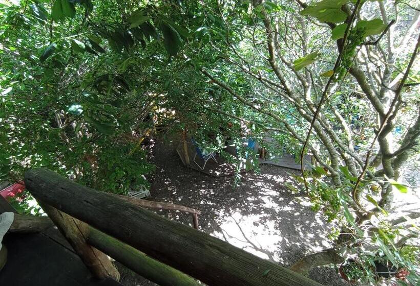 חדר סטנדרט, Nature Hostel