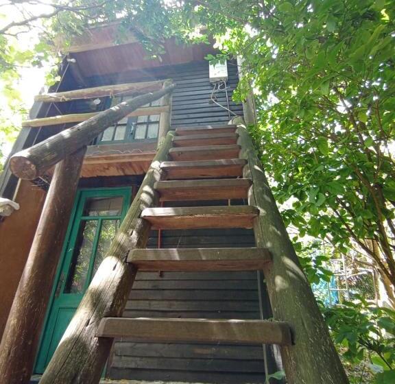 스탠다드 룸, Nature Hostel
