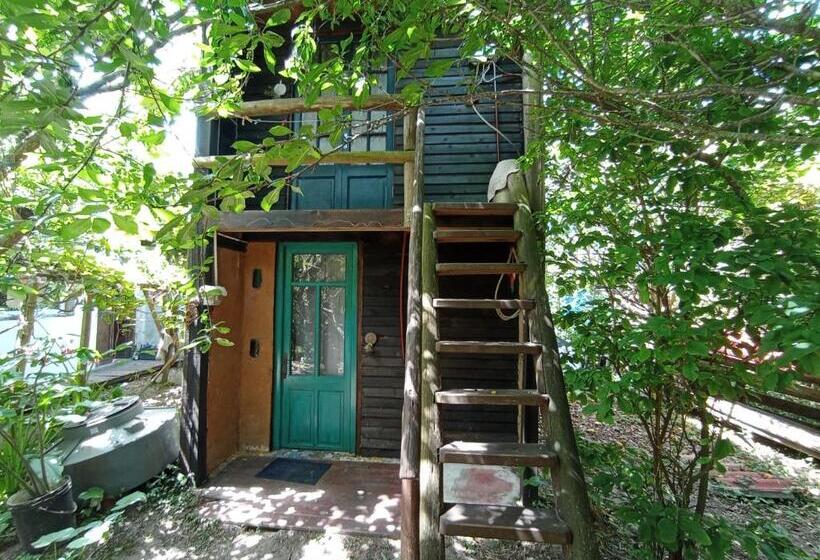 חדר סטנדרט, Nature Hostel