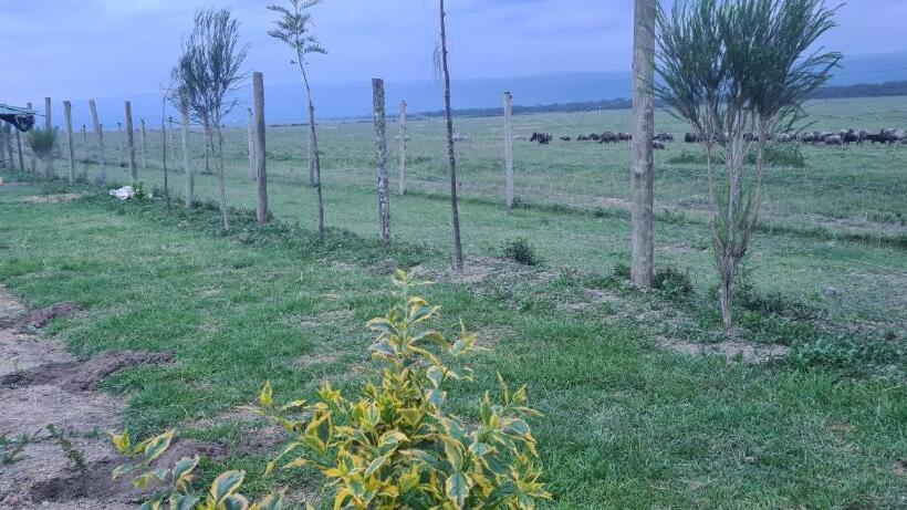 اتاق استاندارد با چشم‌انداز کوهستان, Mambo Game View