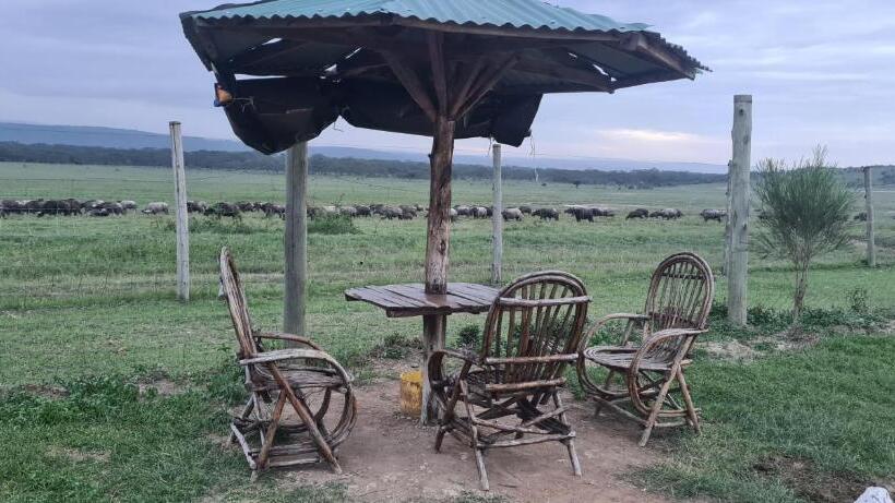 اتاق استاندارد با چشم‌انداز کوهستان, Mambo Game View