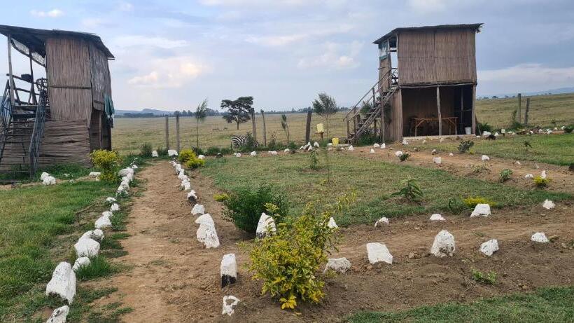 اتاق استاندارد با چشم‌انداز کوهستان, Mambo Game View