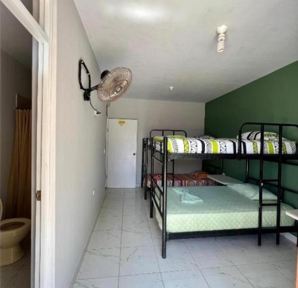 4인용 스탠다드 룸, Pascana Casa Playa